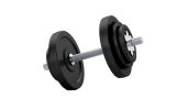 17016782_Realistic_gym_dumbbells_for_the_gym 17016782_Realistic_gym_dumbbells_for_the_gym