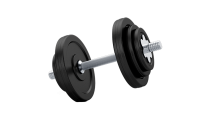 17016782_Realistic_gym_dumbbells_for_the_gym 17016782_Realistic_gym_dumbbells_for_the_gym