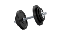 17016782_Realistic_gym_dumbbells_for_the_gym 17016782_Realistic_gym_dumbbells_for_the_gym